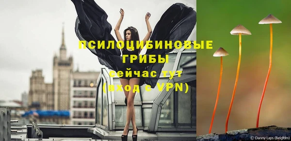 дурь Навашино