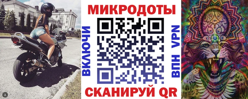 Галлюциногенные грибы Psilocybine cubensis  Купить  Новочебоксарск 