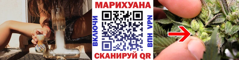 Купить  Новочебоксарск  Конопля сатива 